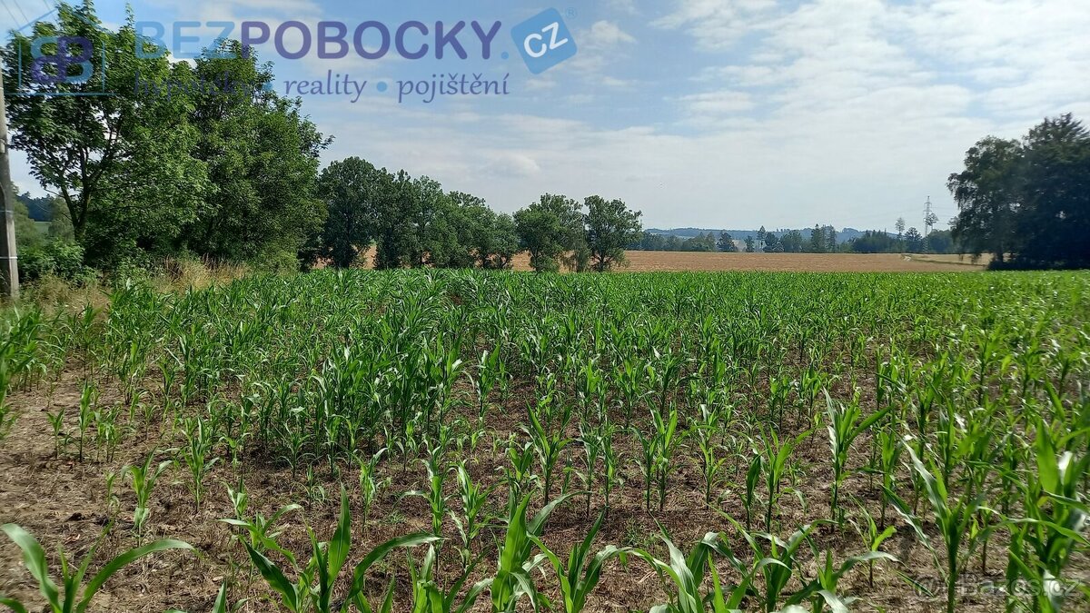 Prodej pozemků v obci Termesivy - 6