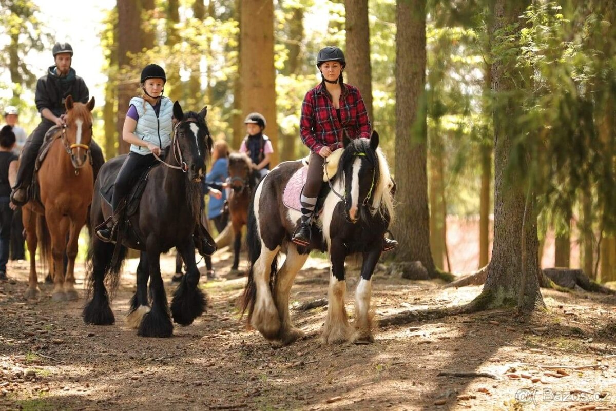 Vyjížďky na koních i ponících - 6