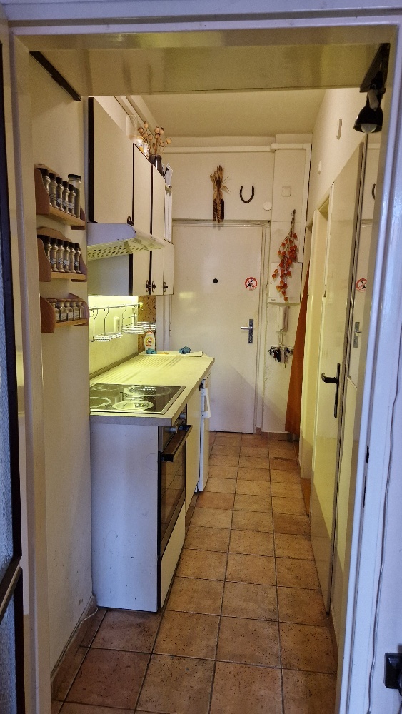 PRODEJ BRNO Kr. Pole Grasonka 35m2 super lokace - 6