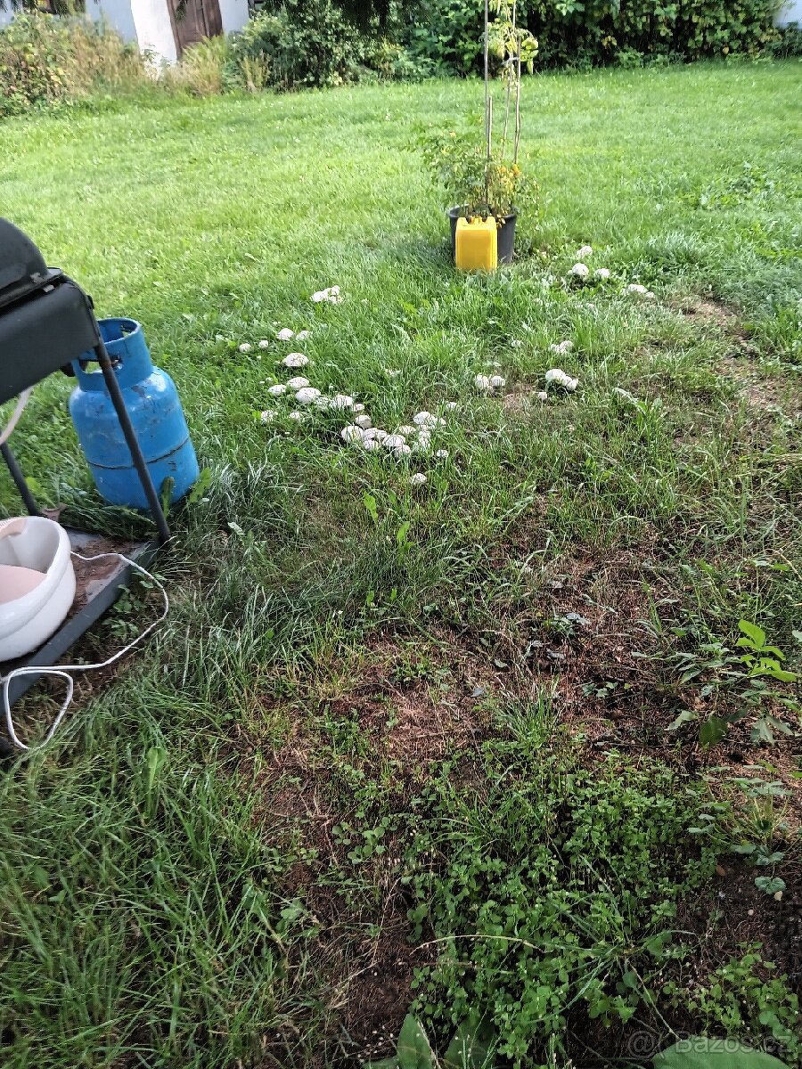 Proďám nádobí dle obr. - 6