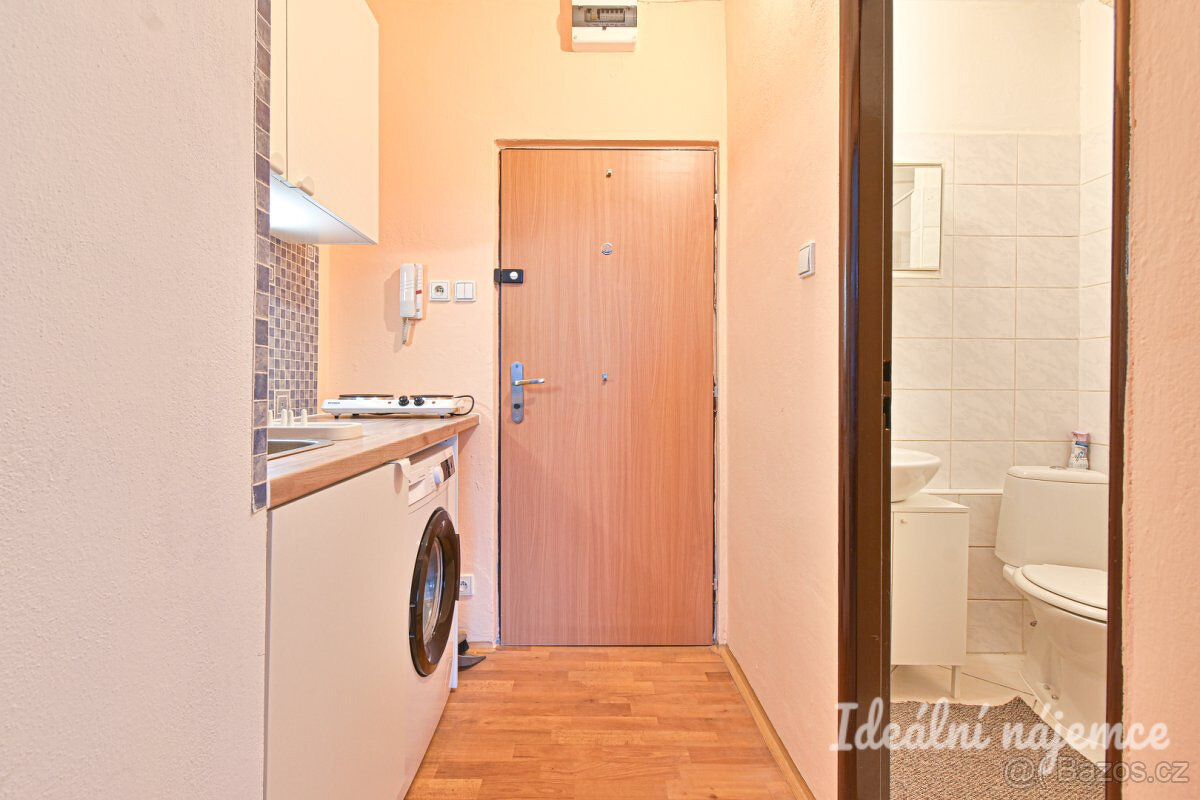 Podnájem bytu 1+kk, Jedovnická, Líšeň, 10.500 Kč/měs, 22 m2 - 6