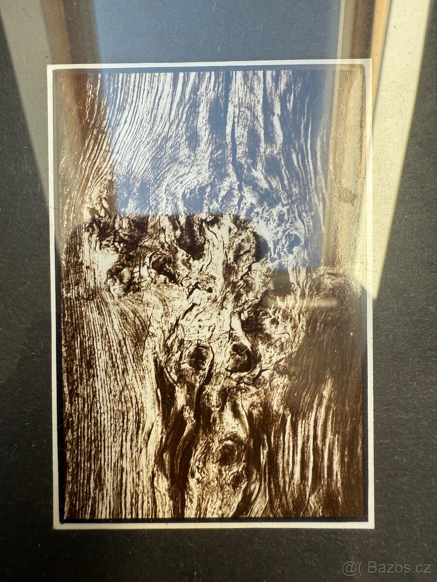 obrazy ručně malované - 6