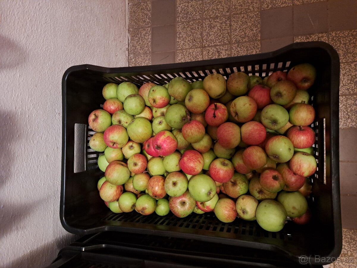 Nabídka jablek, ořechů a dřeva - 6