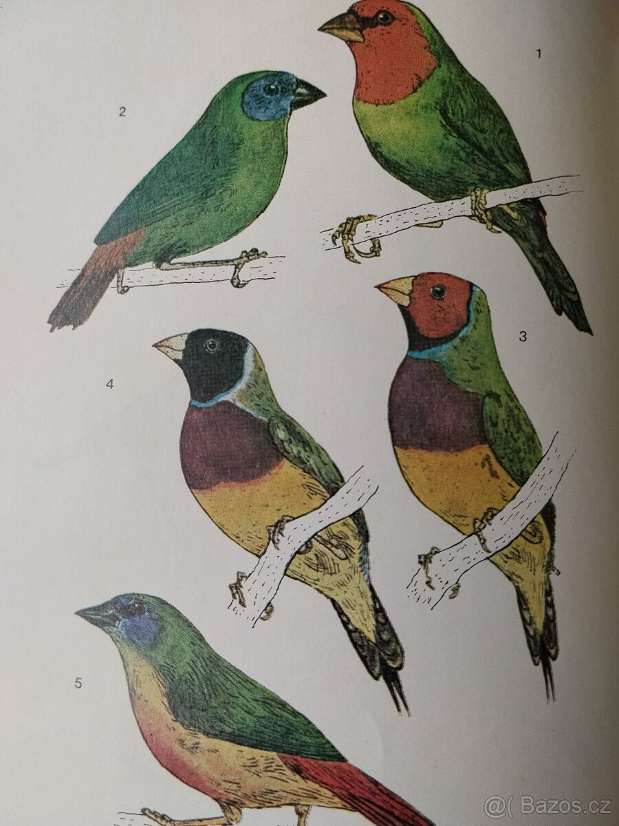 Chovatelská příručka/ droboť, stará kniha - 6