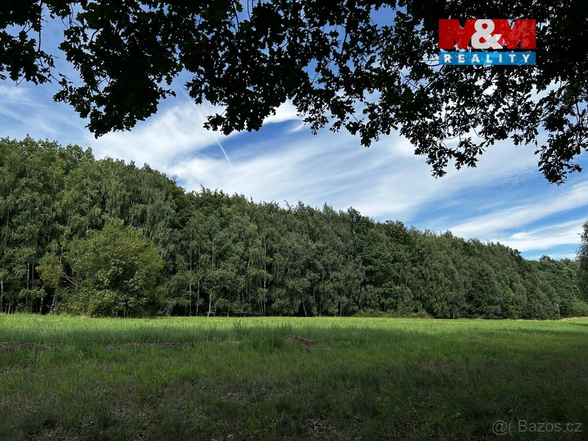 Prodej louky, 7691 m², Petrovice u Karviné - 6