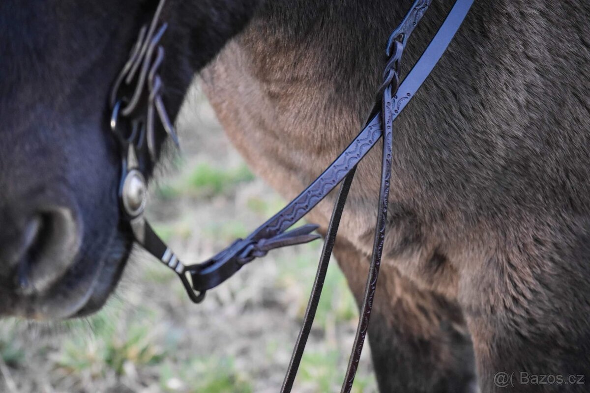 Westernové otěže - 6