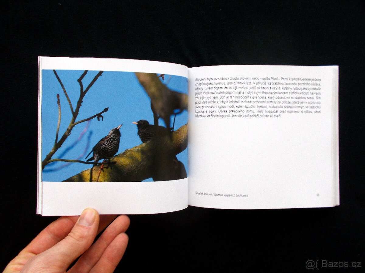 Kéž bych pod hvězdami dobře odtančil svůj tanec - 6