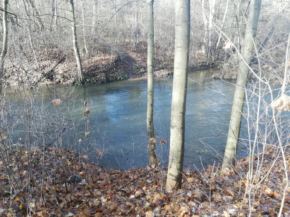 Zahradka u jezera Poděbrady (i s člunem) možnost splátek - 6
