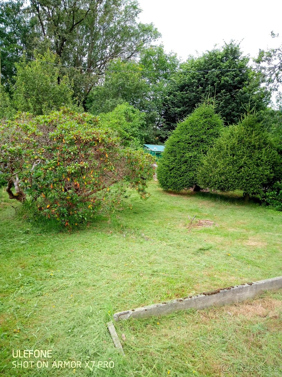 Zahrádka s chatkou - 6