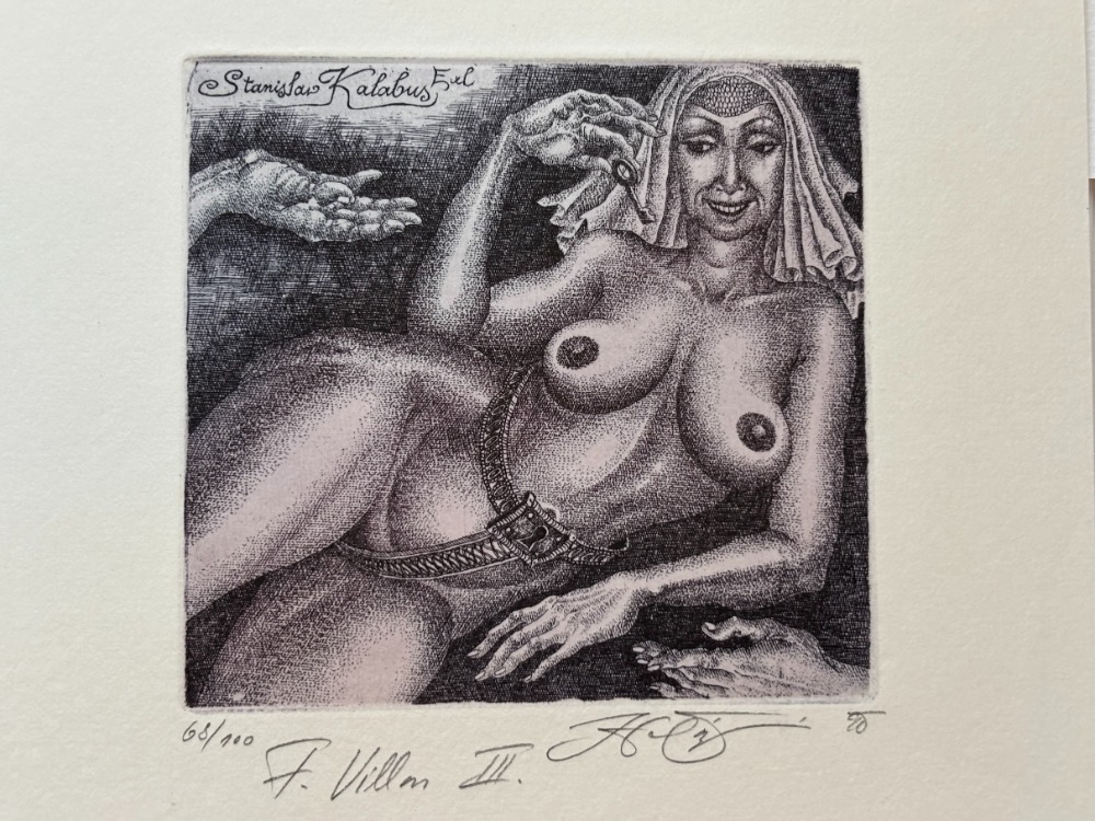 Hana Capova - kolekcia diel - 6