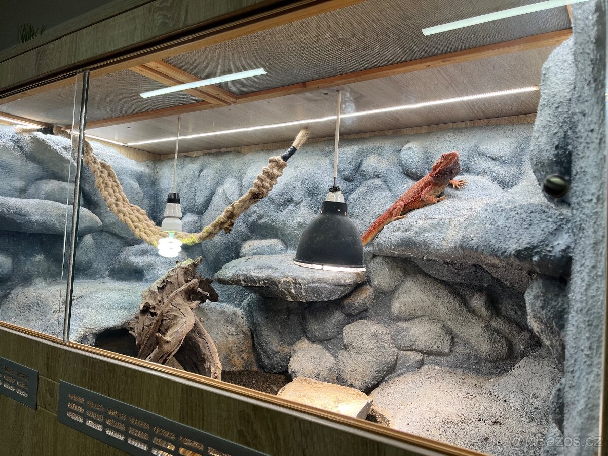 Terárium 143 x 73 x 74 cm - 6