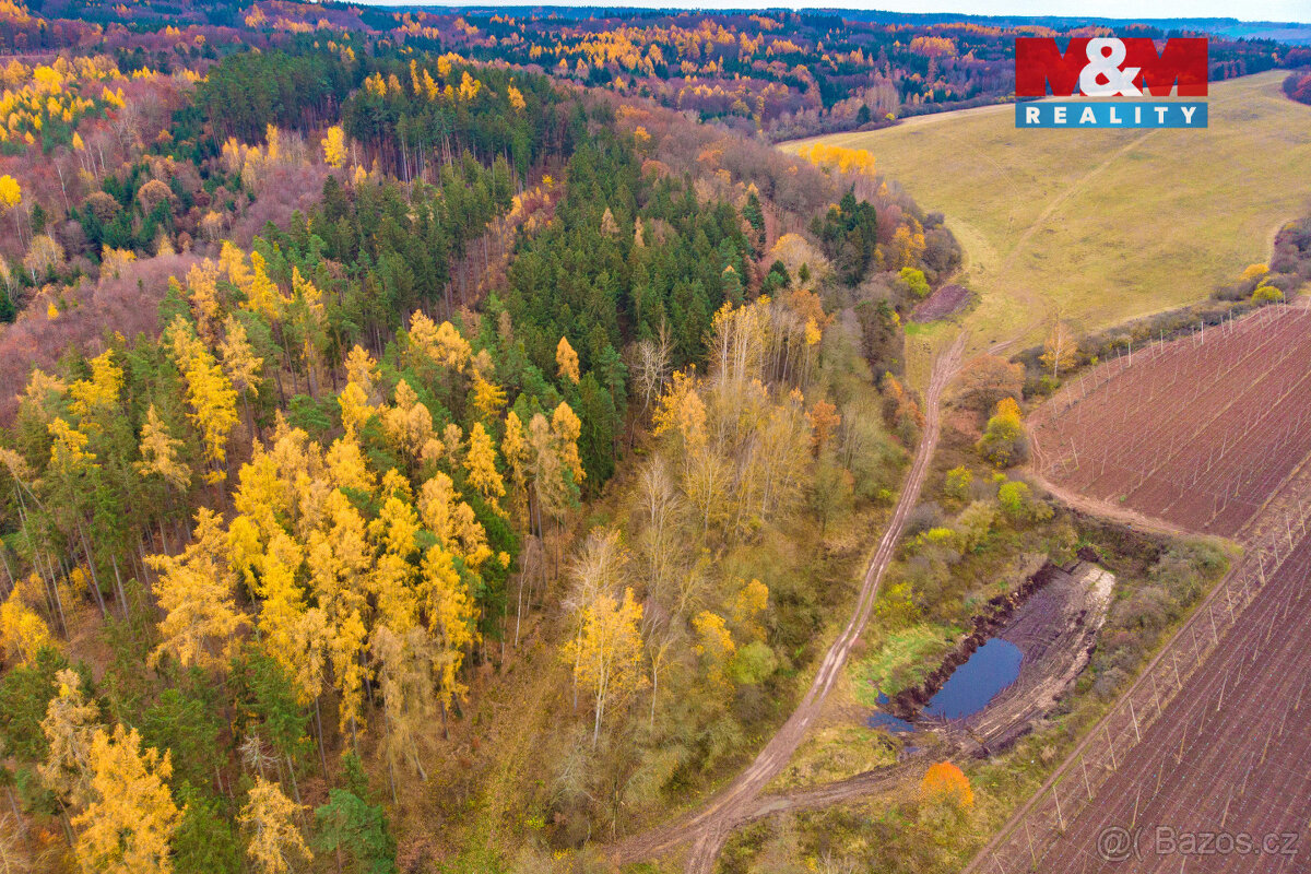 Prodej lesa, 2921 m², Tuchořice - 6