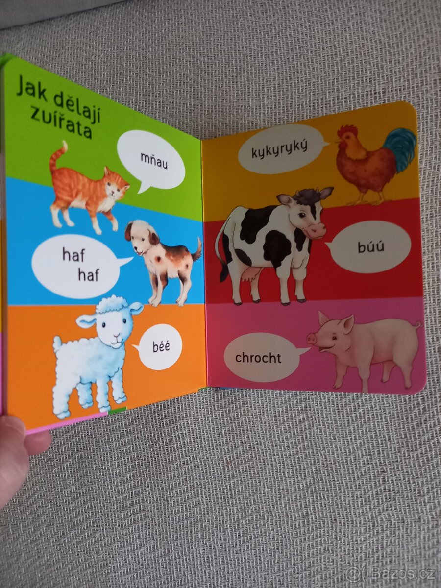 Obrázkový slovník - 6