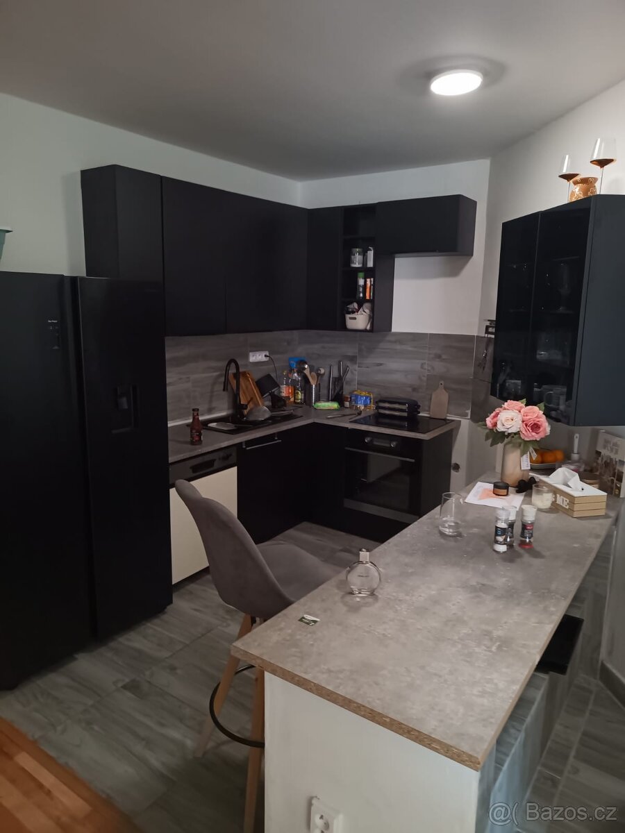 Pronajmu 2+1 v Aši - 6