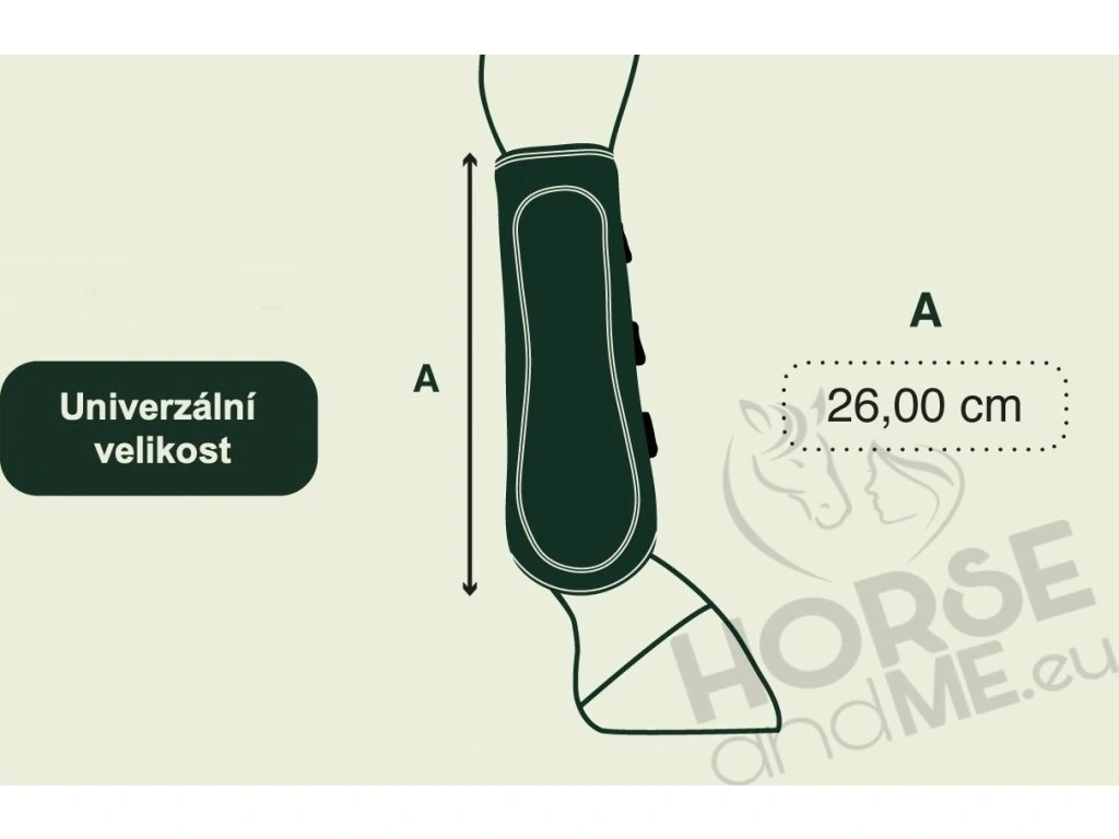 Drezurní kamaše Royal GATUSOS přední. - 6