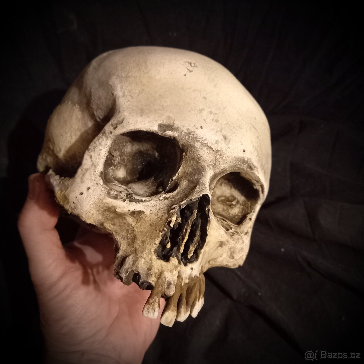 Replika lidské lebky human skull replica - 6