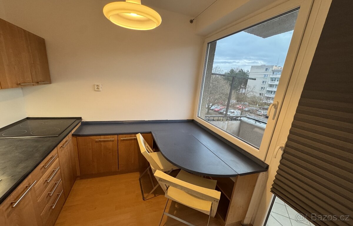 Nadstandardní 1+1, Hradec Králové - Malšovice - 6