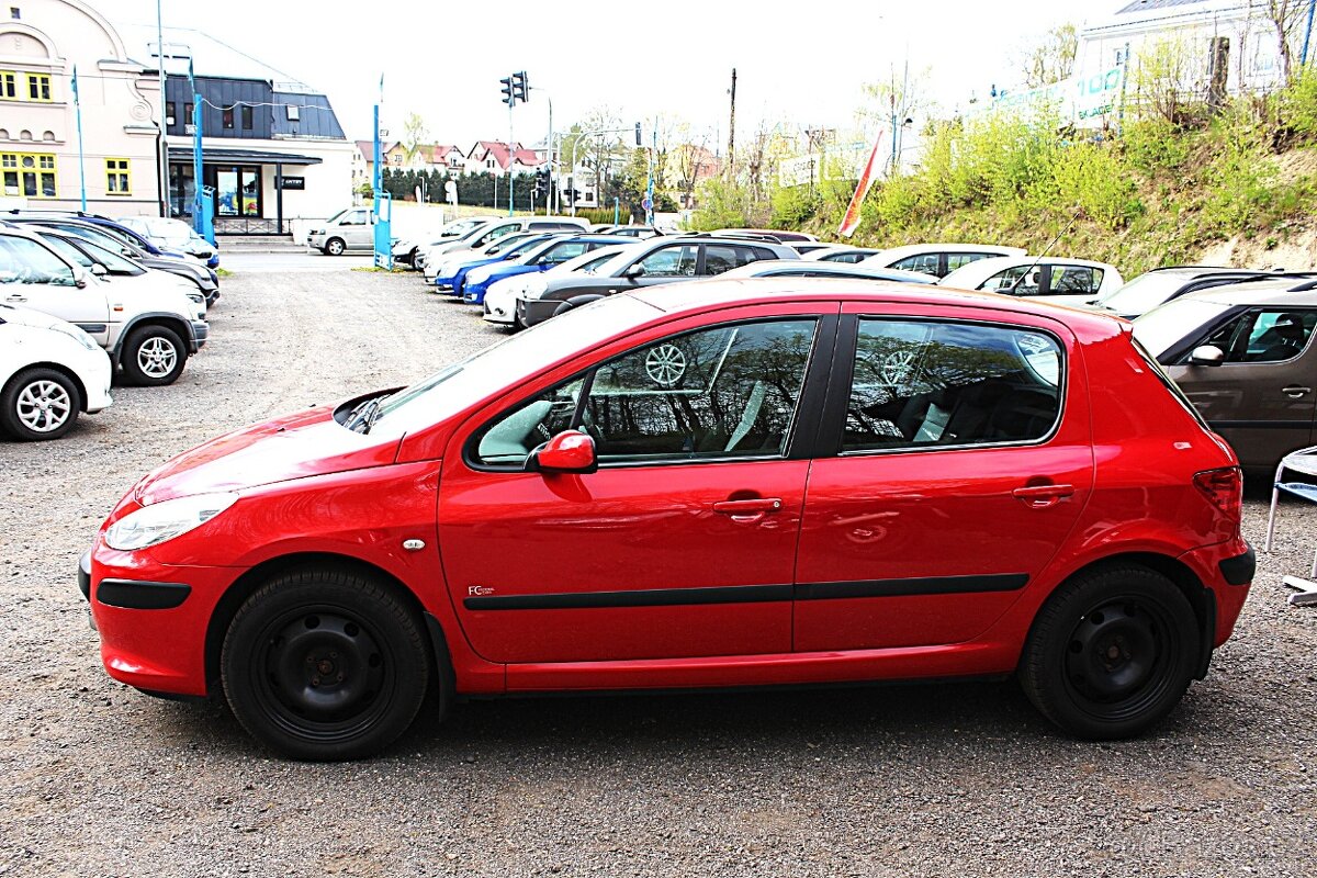 Peugeot 307 - 6