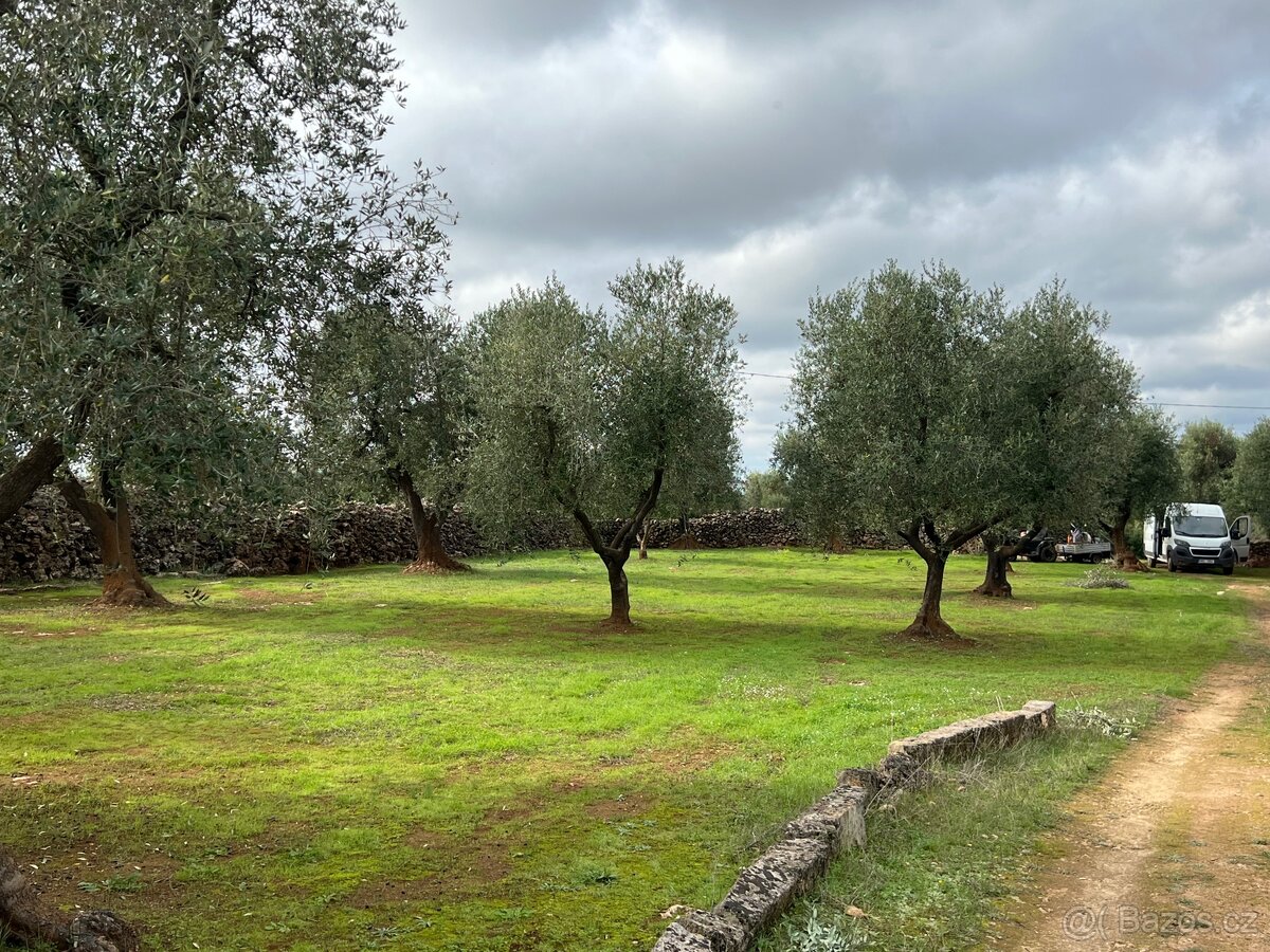 PRODÁNO - Pozemek 10.000m2 u moře🇮🇹 - 6