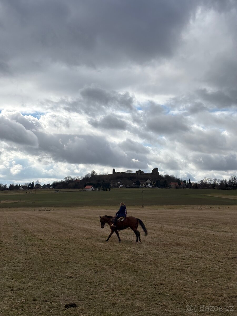 Docházka ,výuka ,pronájem - 6