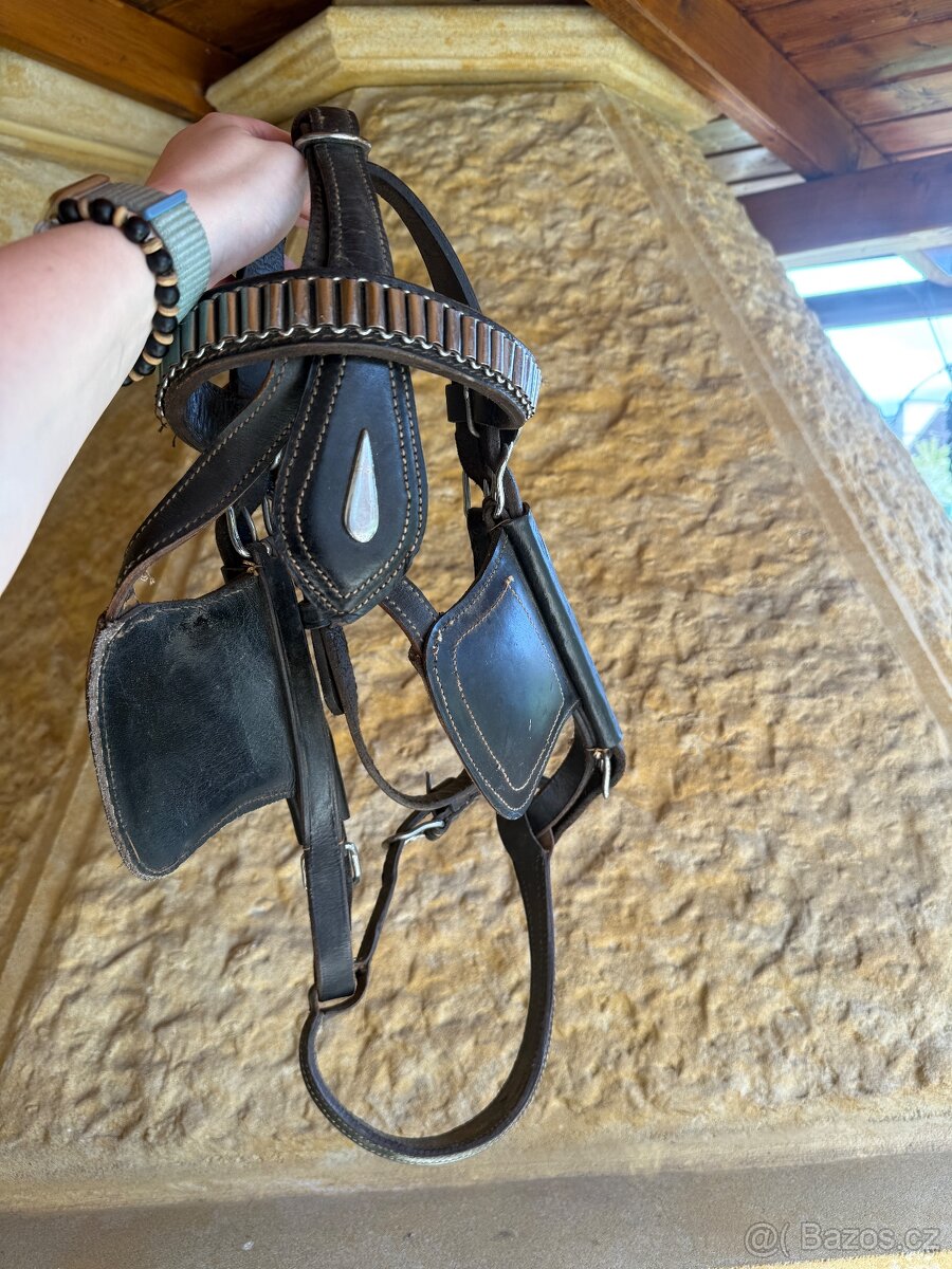 2x Vozová uzdečka - 6