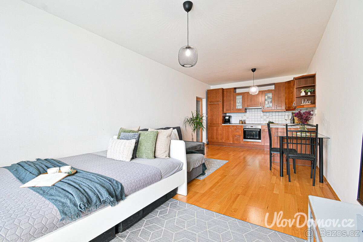 Prodej bytu 2+kk, Praha 5 - Motol - 6