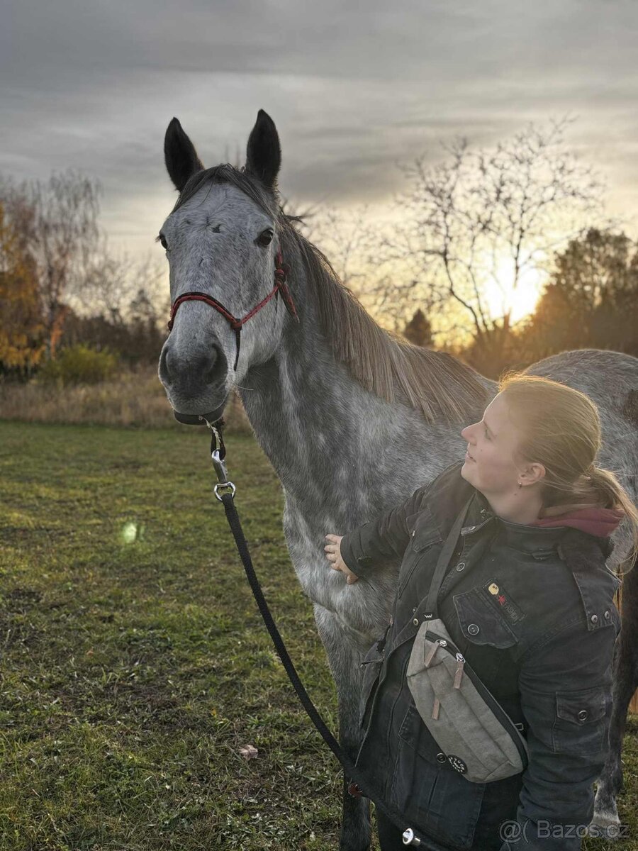 Pronajem úžasné šimličky - 6