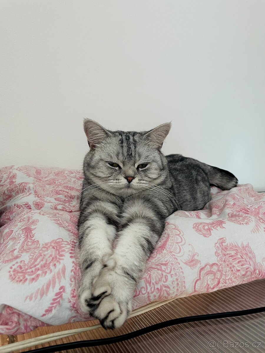 Daruji-rezervace - 6