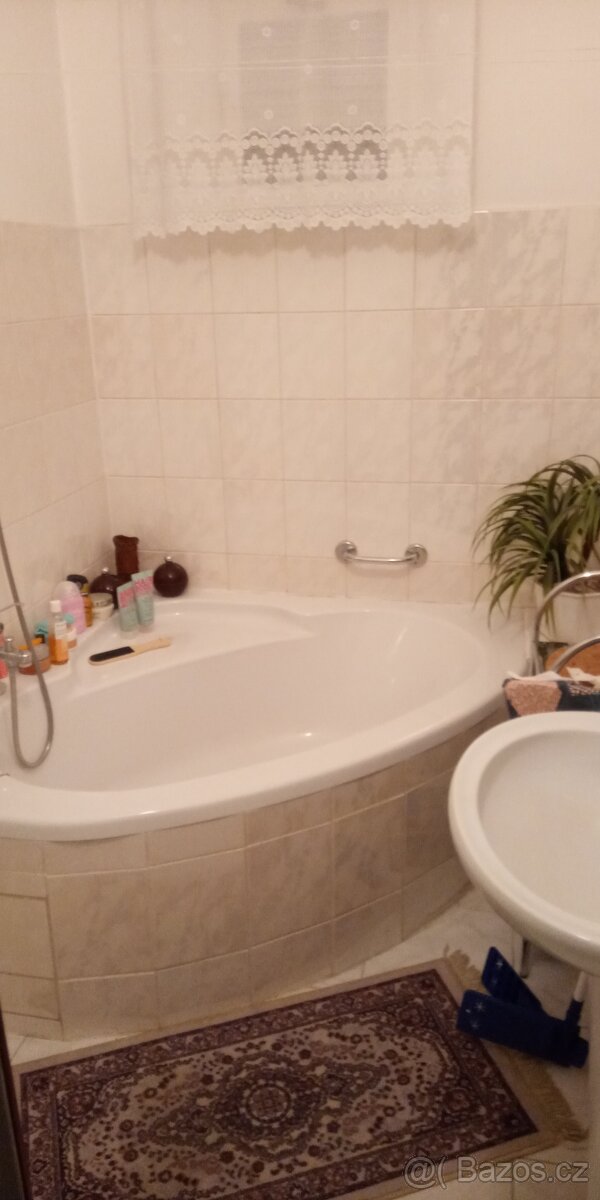 Pronájem bytu 3+kk 110m² v rodinném domě, dvě koupelny - 6