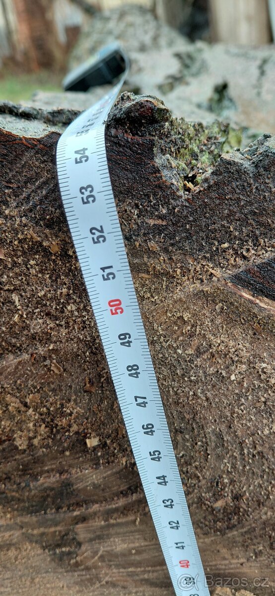 Prodej ořešáku - 6