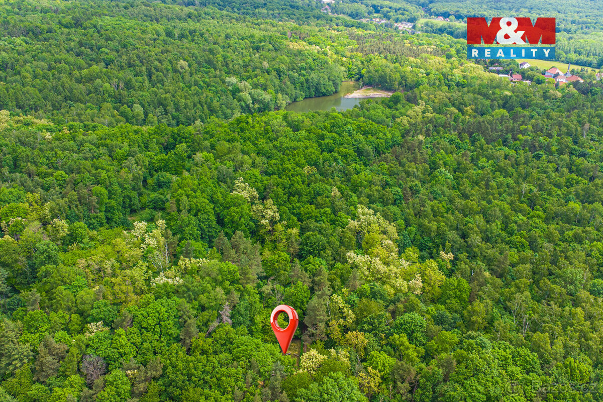 Prodej chaty, 41 m², Žandov u Chlumce - 6
