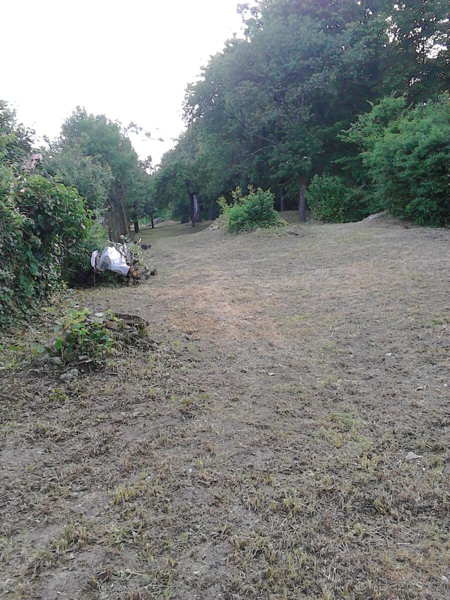 Prodej stavebního pozemku se zahradou o výměře 2.412 m2 - 6