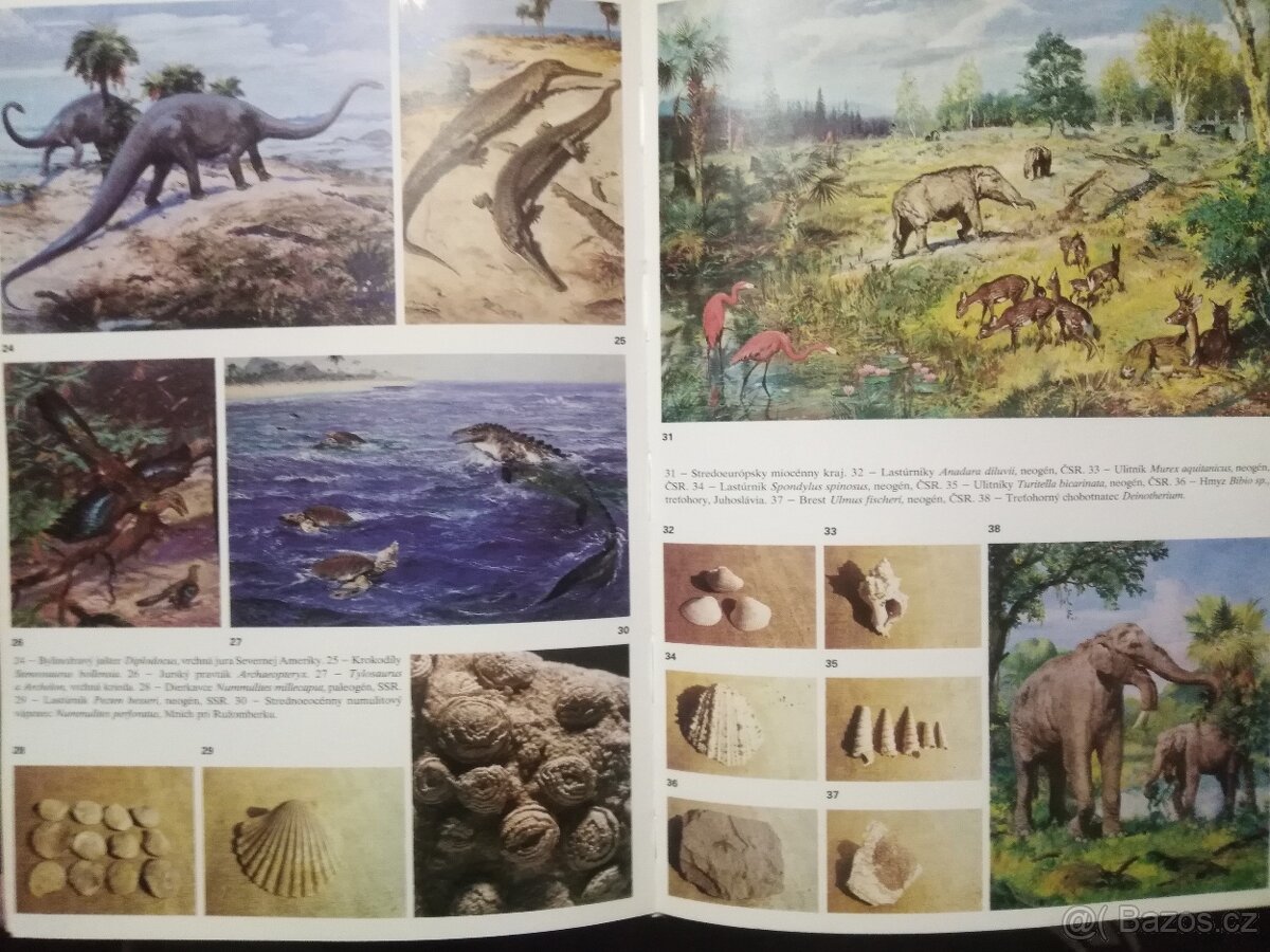 ZDENĚK BURIAN - 3 KNIHY, PRAVĚK, DINOSAUŘI - 6