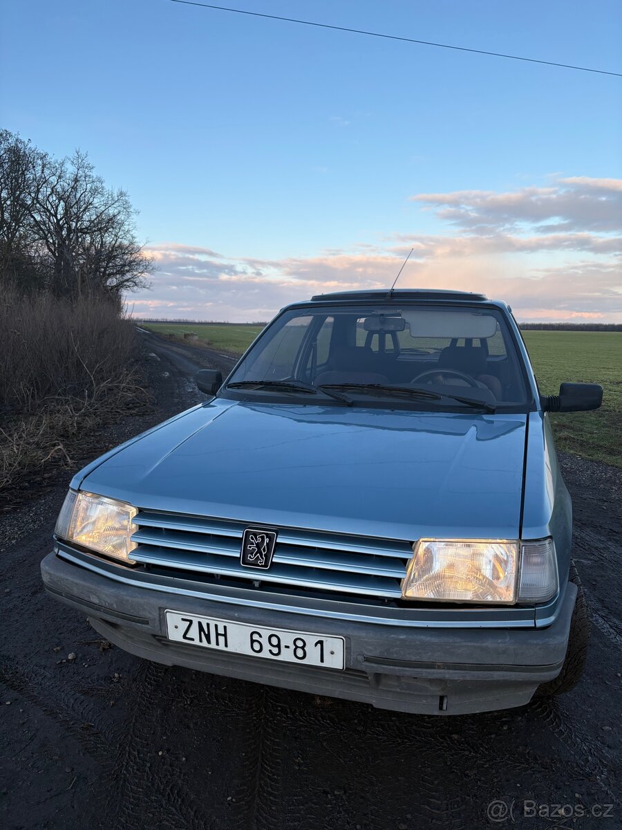 Peugeot 309 - 6
