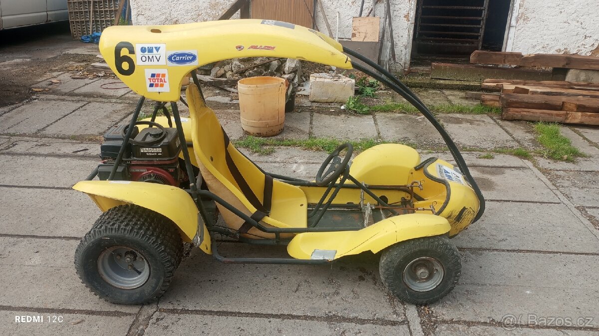 Buggy - 6