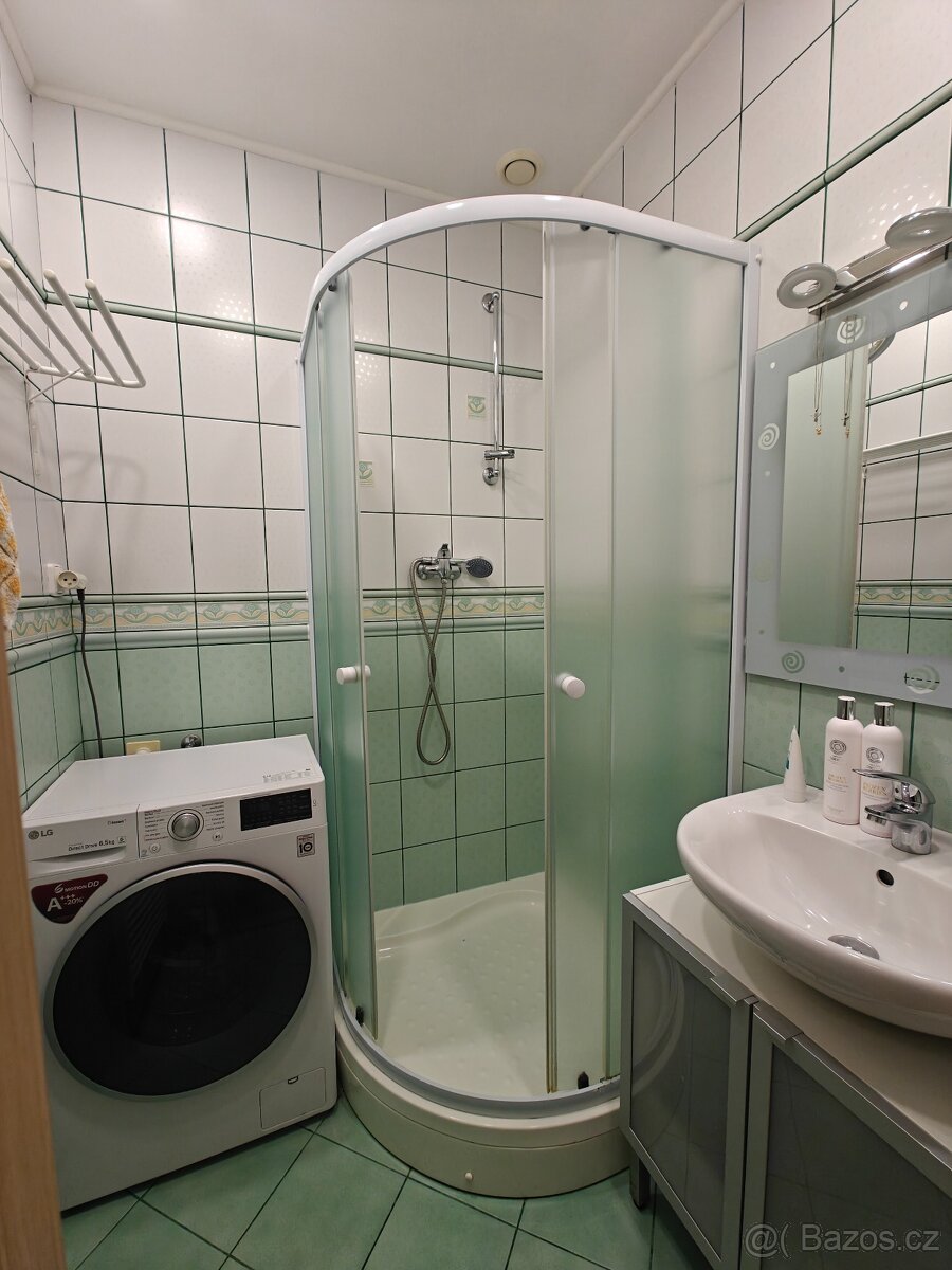 Pronájem bytu 3+1 - 6
