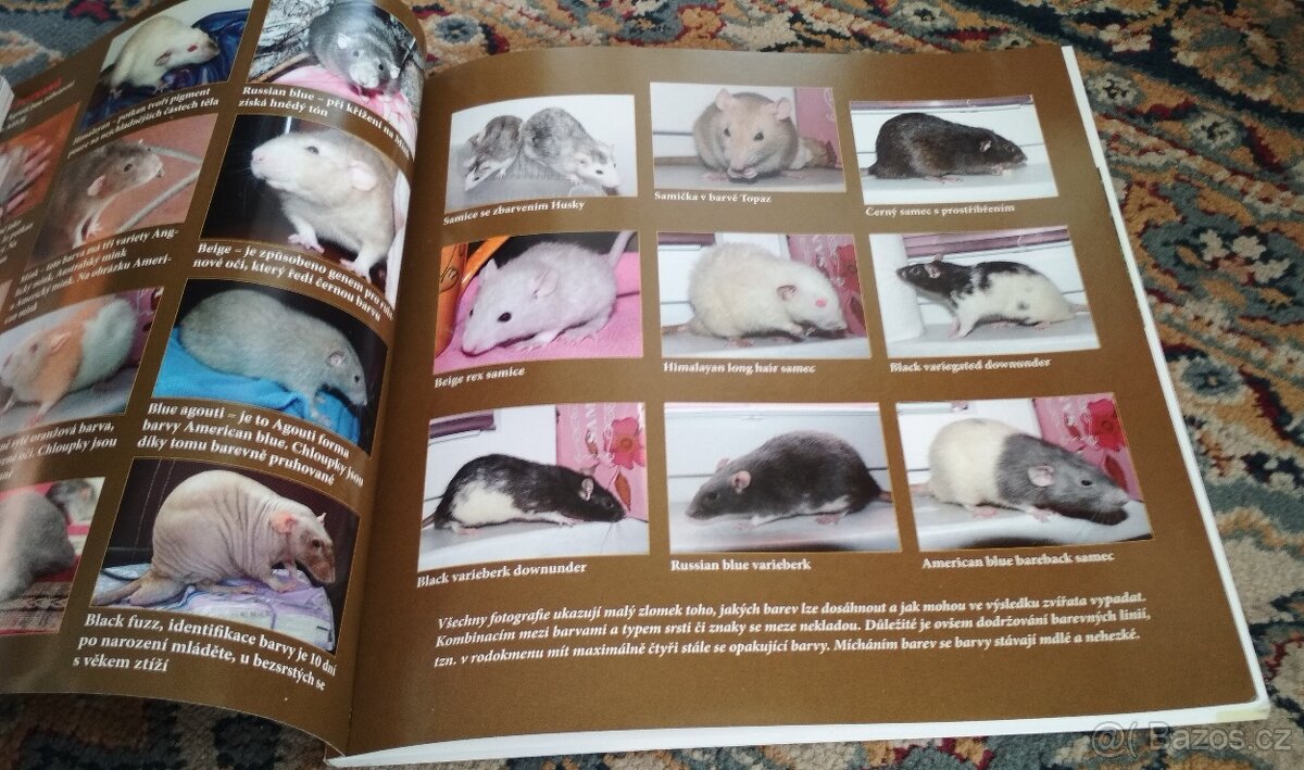 Abeceda chovatele potkan + Abeceda chovatele křeček zlatý - 6