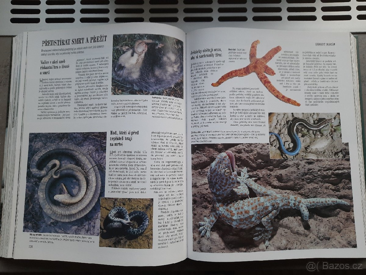 PRODÁM ENCYKLOPEDII SOUKROMÍ ŽIVOČICHŮ - 6