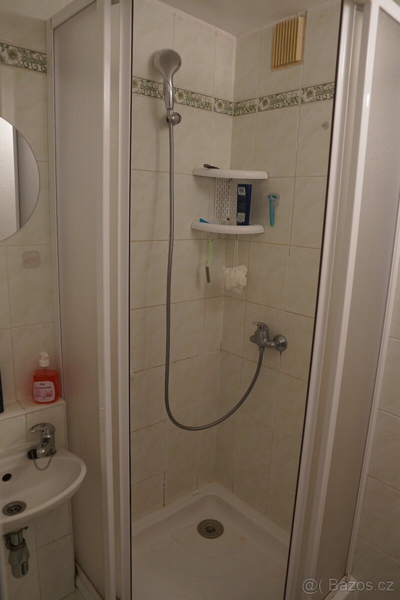 Pronajmu 1+KK Sokolovká Plzeň - město - 6