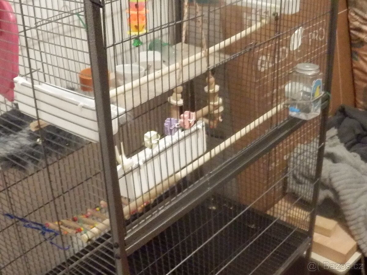 Klec pro papousky - 6