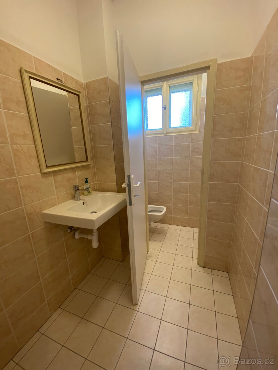 Pronájem pokoje pro jednu osobu – Praha 4, Braník - 6