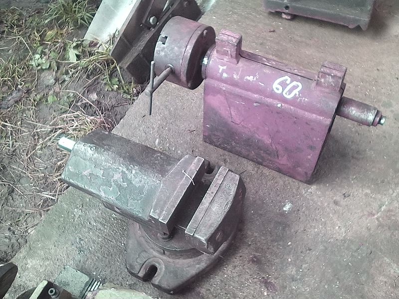 zverák, koník, ... - 6