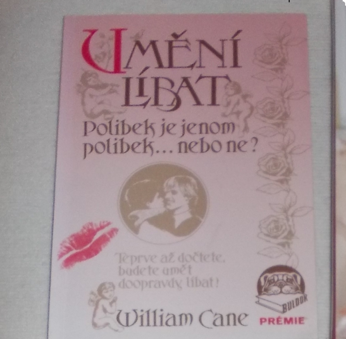 KNIHY+PANENKY-NA VÁNOCE +DOSPĚLÁCKÉ KNIHY A VĚCI DO DOMÁCN. - 6