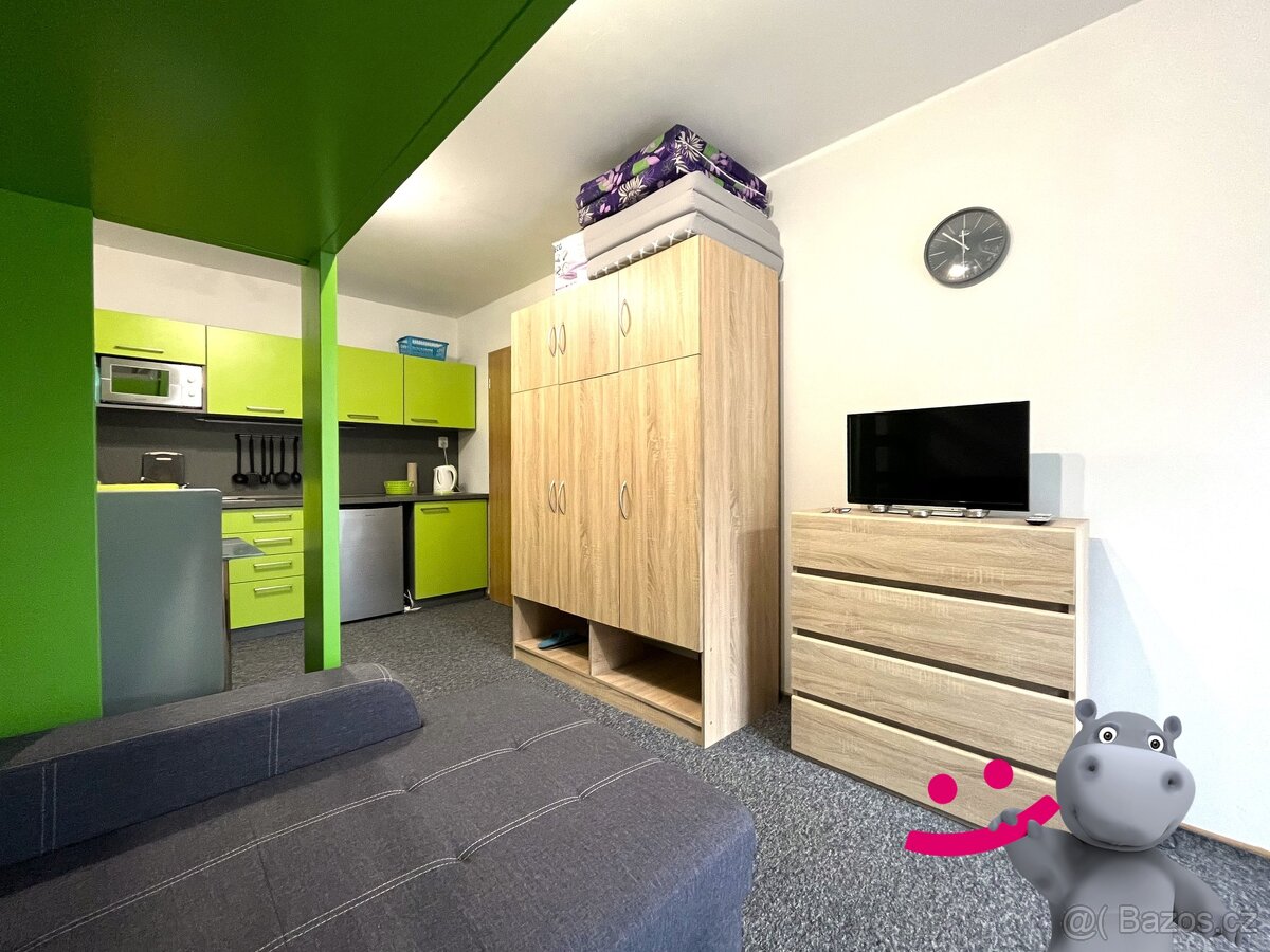 Prodej bytu 1kk + terasa, parkování, 40 m², Ostružná - Petří - 6