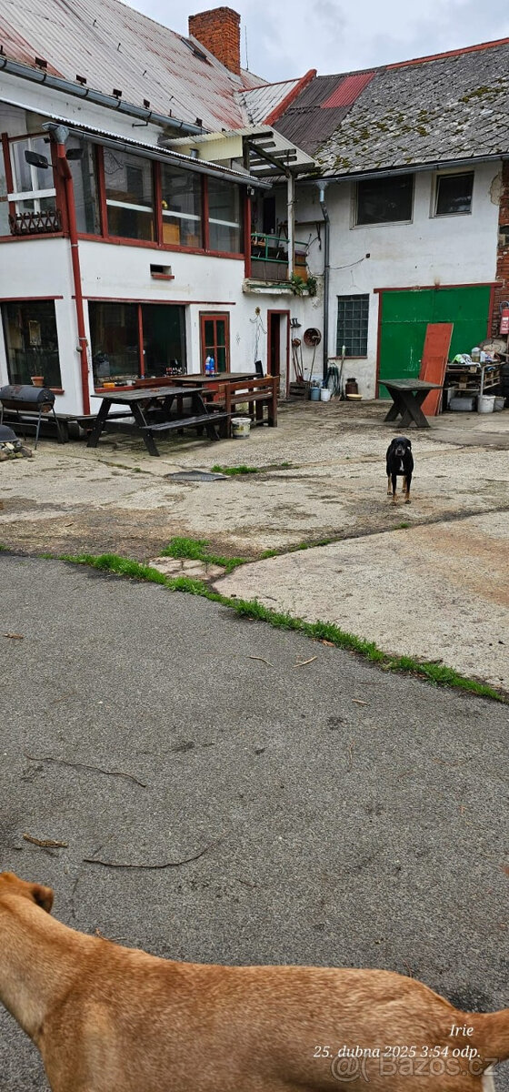 Prodej domu v Dobranově u České Lípy. - 6