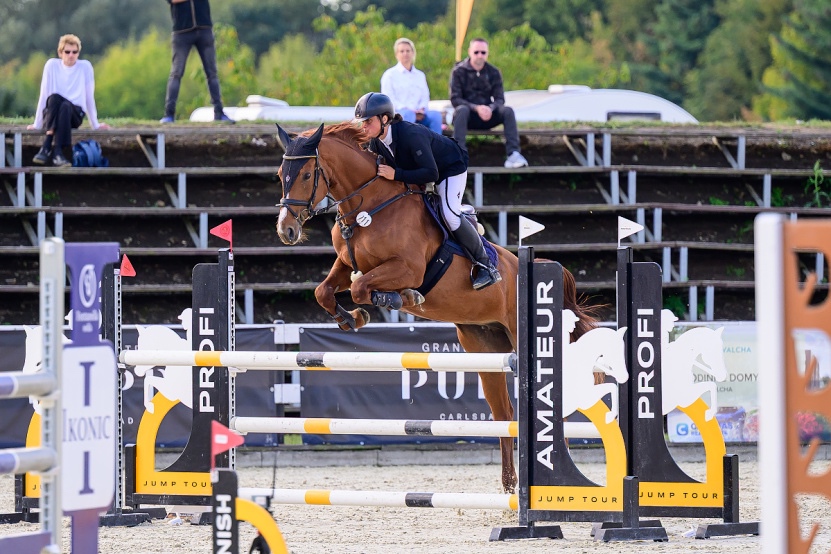 Klisna do vysokého sportu - 6