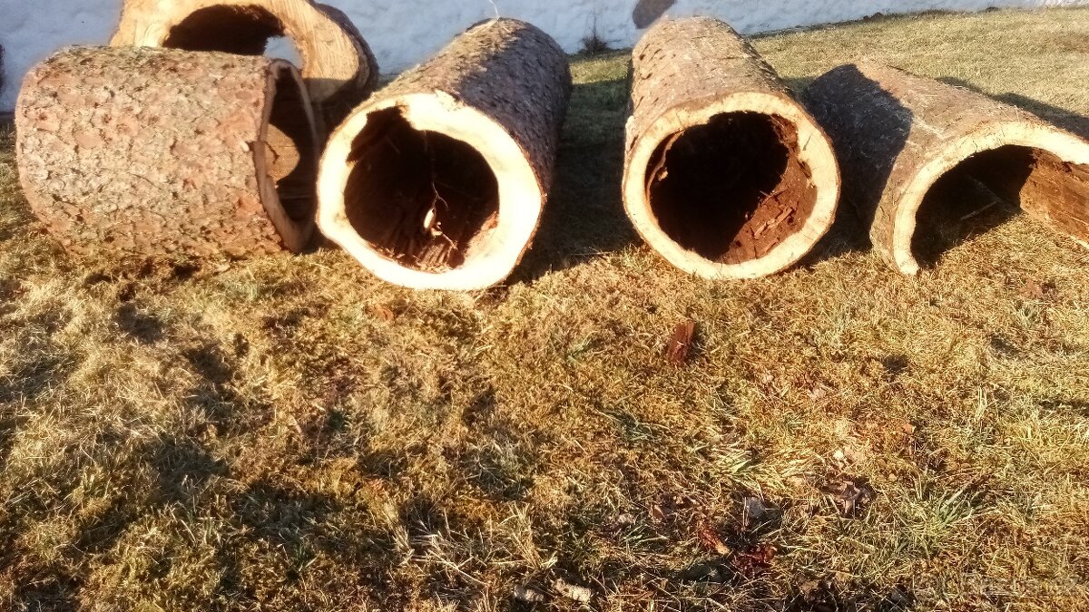 Duté kmeny na ptačí budky aj. - 6