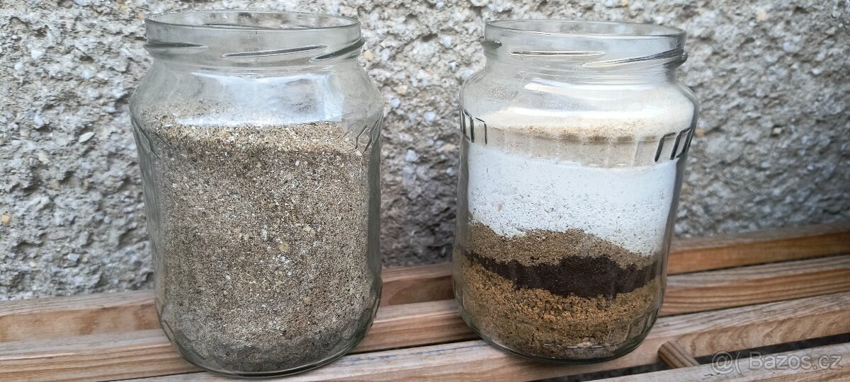 Šváb Argentinský (Blaptica dubia) - 6