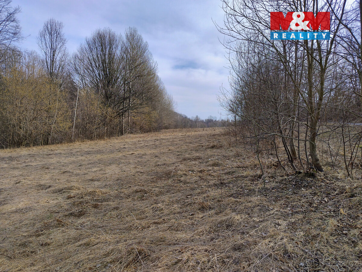 Prodej pozemku k bydlení, 1920 m², Dolní Moravice - 6