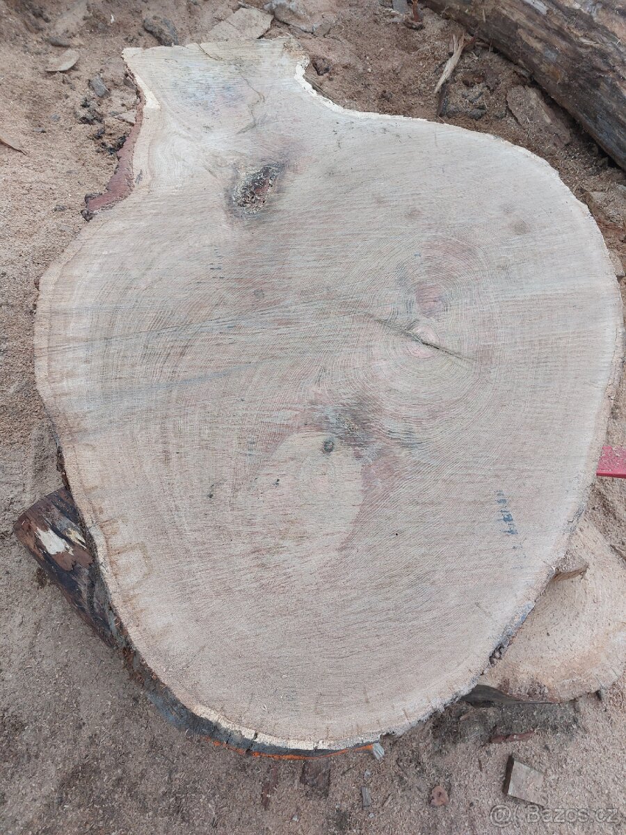 Dubové ovalné pláty - 6